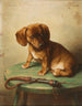 Een teckelpuppy - Carl Reichert — weergave van het kunstwerk