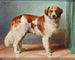 Un Saint-Bernard - Carl Reichert — weergave van het kunstwerk
