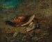 Natuurschilderij met fazant en houtduif - Carl Spitzweg — weergave van het kunstwerk