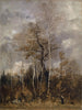 van Eiken en berken in het begin van de lente - Carl Theodor Meyer-Bâle — weergave van het kunstwerk