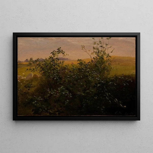 Carlo Dalgas - Hedge with blackberry.webp