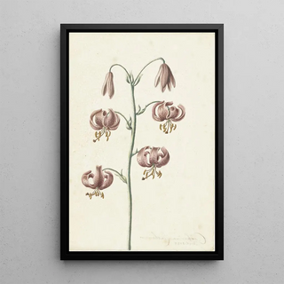 Catharina Lintheimer - Takje met roodbruine lelies.webp