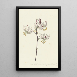 Catharina Lintheimer - Takje met vier witte lelies.webp