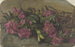 Rhododendrons - Cella Thoma — weergave van het kunstwerk