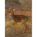 Reproductie van het schilderij Hert - Rosa Bonheur