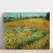Reproductie van het schilderij Gebied met tarwe - Vincent van Gogh