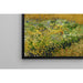 Reproductie van het schilderij Gebied met tarwe - Vincent van Gogh