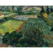 Reproduction of the painting Flower Field Painting - Vincent van Gogh