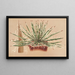 Agave schidigera - Charles Antoine Lemaire — ingelijst kunstwerk aan de muur
