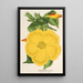 Allamanda nobilis - Charles Antoine Lemaire — ingelijst kunstwerk aan de muur