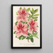Reproductie van het schilderij Azalea indica hybrida Madame Verschaffelt - Charles Antoine Lemaire