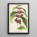 Reproductie van het schilderij Callicarpa purpurea - Charles Antoine Lemaire