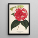 Camellia Giardino Santarelli - Charles Antoine Lemaire — ingelijst kunstwerk aan de muur