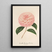 Reproductie van het schilderij Camellia Giardino Schmitz - Charles Antoine Lemaire