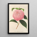 Camellia Isabella Orsini Franchetti - Charles Antoine Lemaire — ingelijst kunstwerk aan de muur