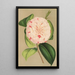 Camellia Luisa Bartoloni - Charles Antoine Lemaire — ingelijst kunstwerk aan de muur