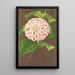 Camellia Madame Verschaffelt - Charles Antoine Lemaire — ingelijst kunstwerk aan de muur