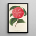 Camellia Ninfa del Tebro - Charles Antoine Lemaire — ingelijst kunstwerk aan de muur