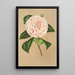 Reproductie van het schilderij Camellia Principessa Clotilde - Charles Antoine Lemaire