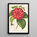 Reproductie van het schilderij Camellia Souvenir d'Émile Defresne - Charles Antoine Lemaire