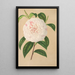 Camellia Virginia Franco - Charles Antoine Lemaire | Schilderij — ingelijst kunstwerk aan de muur