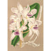 Cattleya amethystoglossa - Charles Antoine Lemaire — weergave van het kunstwerk