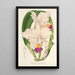 Koeienorchidee (Cattleya quadricolor) - Charles Antoine Lemaire — ingelijst kunstwerk aan de muur