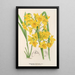 Dendrobium dixanthum - Charles Antoine Lemaire — ingelijst kunstwerk aan de muur