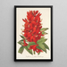 Reproductie van het schilderij Erythrina hybrida Marie Bellanger - Charles Antoine Lemaire