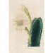 Reproductie van het schilderij Iconografie beschrijvend van de cactussen Pl11 - Charles Antoine Lemaire