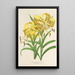 Reproductie van het schilderij Lilium Leichtlinii - Charles Antoine Lemaire