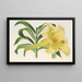 Lilium neilgherricum - Charles Antoine Lemaire — ingelijst kunstwerk aan de muur