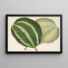Maranta virginalis - Charles Antoine Lemaire — ingelijst kunstwerk aan de muur