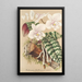 Phalaenopsis schilleriana - Charles Antoine Lemaire — ingelijst kunstwerk aan de muur