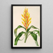 Pitcairnia andreana - Charles Antoine Lemaire — ingelijst kunstwerk aan de muur