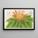 Pitcairnia tabuliformis - Charles Antoine Lemaire — ingelijst kunstwerk aan de muur