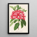 Reproductie van het schilderij Rhododendron azaleoides var. crispinorum - Charles Antoine Lemaire