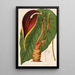 Reproductie van het schilderij Steudnera colocasifolia - Charles Antoine Lemaire
