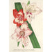 Reproductie van het schilderij van Variétés nouvelles de Glaïeuls des jardins - Charles Antoine Lemaire