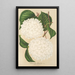 Viburnum plicatum - Charles Antoine Lemaire — ingelijst kunstwerk aan de muur
