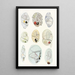 van Charles Atwood Kofoid | Schilderij Les dinoflagellés libres non cuirassés pl 11 — ingelijst kunstwerk aan de muur