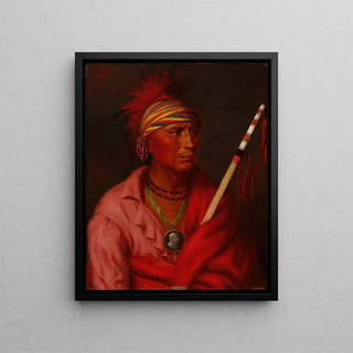 Charles Bird King - No Heart Nancheningga.webp