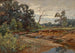 Hout van Indiana - Charles Conner — weergave van het kunstwerk