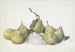 Groene peren - Charles Demuth — weergave van het kunstwerk