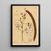 Geneeskrachtige planten Pl002 - Charles Frederick Millspaugh — ingelijst kunstwerk aan de muur