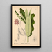 Reproductie van het schilderij Geneeskrachtige planten Pl029 - Charles Frederick Millspaugh
