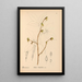Reproductie van het schilderij Geneeskrachtige planten Pl042 - Charles Frederick Millspaugh
