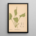 Reproductie van het schilderij Geneeskrachtige planten Pl077 - Charles Frederick Millspaugh