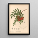 Geneeskrachtige planten Pl149 - Charles Frederick Millspaugh — ingelijst kunstwerk aan de muur
