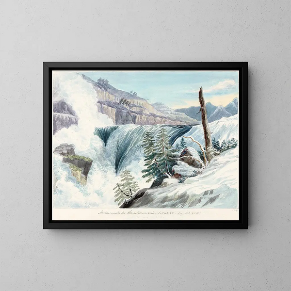 Val van Anderson op de rivier Haheldessa - Charles Hamilton Smith — ingelijst kunstwerk aan de muur